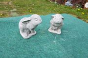 Rabbit Cute-GL-SA084