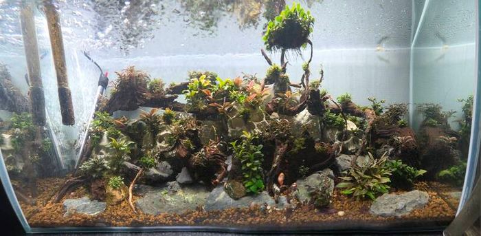 fluval flex