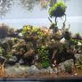 fluval flex Image 9