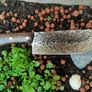 Persian Knife Style Engraved Inca  Calendar Special Edition by Di'Casteel Image 9