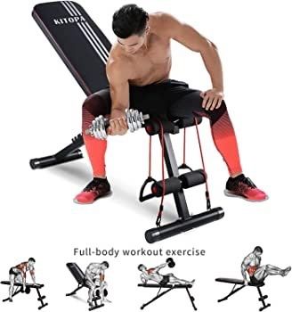 Adjustable Weight Bench, Multifunctional Weight Bench, Folding Fitness Bench for Strength Training at Home, with Flat Decline for Full Body Training (FREE POSTAGE)