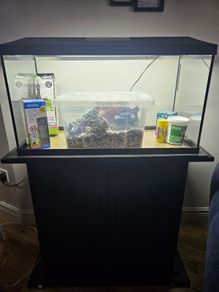Aquarium