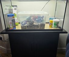 Aquarium