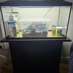 Aquarium