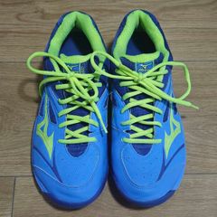 Mizuno Badminton Shoes