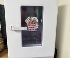 mini fridge