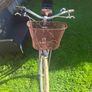 bike Image 8