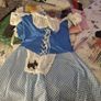 Dorothy Dress Costume Image 2