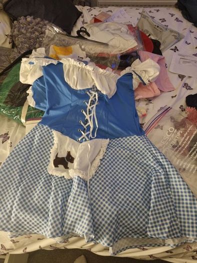 Dorothy Dress Costume