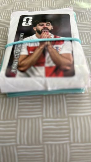 Panini World Cup