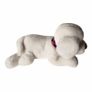 Cute White Puppy Dog Image 3