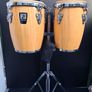 bongos Image 2