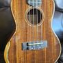 Barnes and Mullins Ukulele with hardcase Image 2