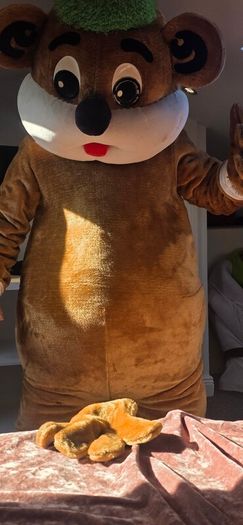 children's entertainment costume
