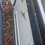 uPVC Front Door & Windows Image 4