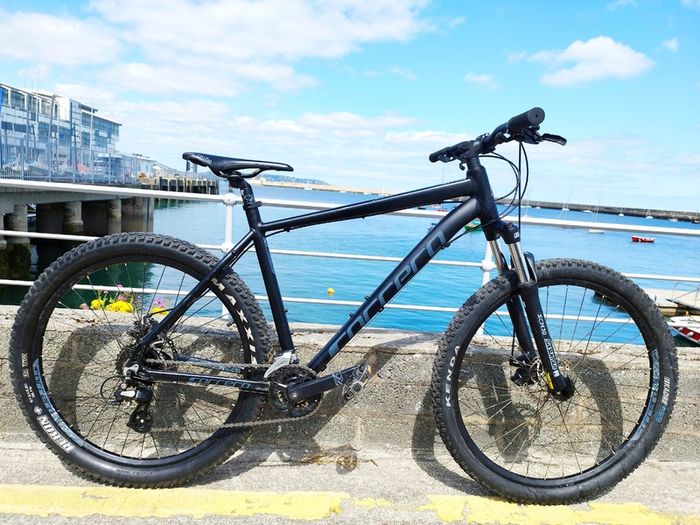 Carrera Mountain Bike