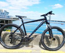 Carrera Mountain Bike