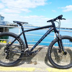 Carrera Mountain Bike