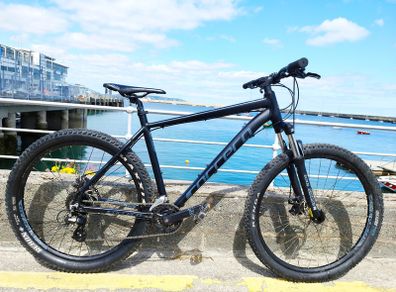 Carrera Mountain Bike