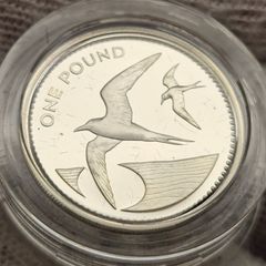 St. Helena Royal Mint Silver Proof 1984 One Pound Piedfort 19 Grams