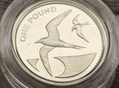 St. Helena Royal Mint Silver Proof 1984 One Pound Piedfort 19 Grams