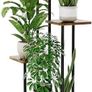 Indoor Plant Shelf Image 4