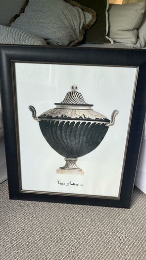 Pair Framed Pictures