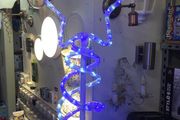 Rope Light Christmas Tree
