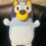 Bluey squishmellow Image 2
