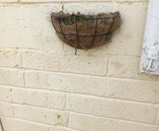 wall planter