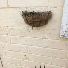 wall planter