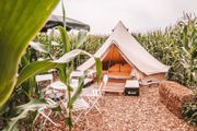 Professional TC Bell Tents  New 2026 Model