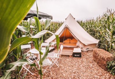 Professional TC Bell Tents  New 2026 Model