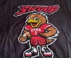 Mix of T-shirts (sizes in description)