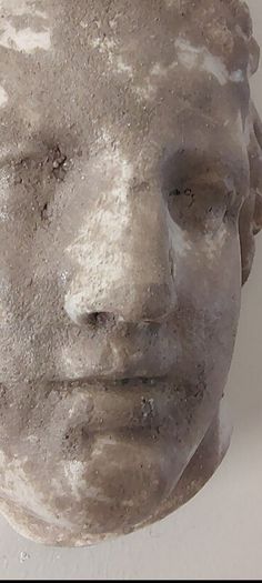 art studio plaster cast