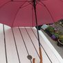 moretti beer umbrella Image 3