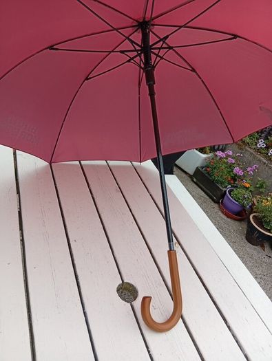 moretti beer umbrella