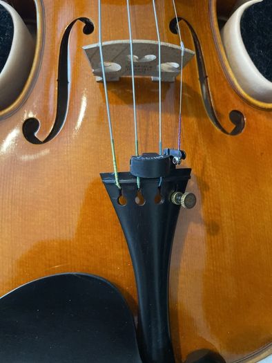 Violin and viola strings