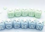 sugar paste personalized letter blocks