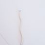 Silver-Plated Necklace Pendant Image 2