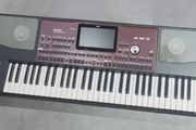 korg