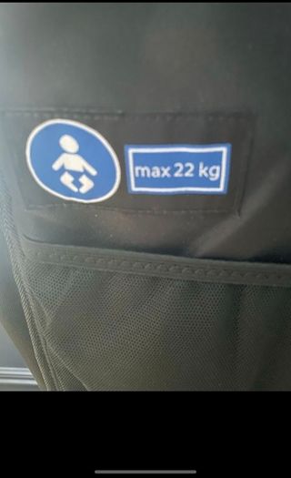 Baby Jogger GT2 double with bassist
