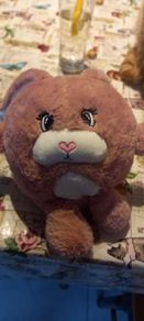 heatable teddy bunny