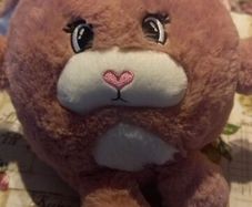 heatable teddy bunny