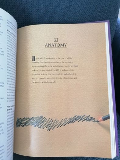 An Introduction to Drawing the Nude