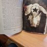 This Is Gonna Hurt : Music, Photography and Life Through the Distorted Lens of Nikki Sixx by Nikki Sixx (2011, Hardcover) Image 4