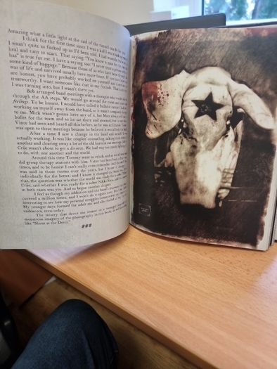 This Is Gonna Hurt : Music, Photography and Life Through the Distorted Lens of Nikki Sixx by Nikki Sixx (2011, Hardcover)