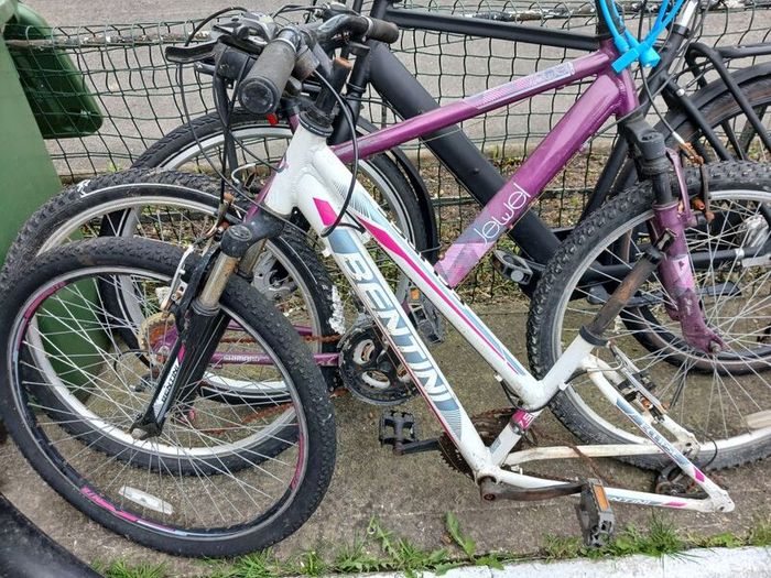 ladies bike