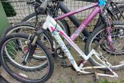 ladies bike