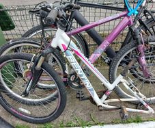 ladies bike